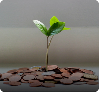 A plant growing from the ground on top of coins.